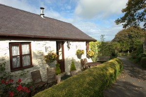 The Owl cottage 