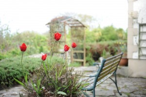 Bwthyn Gwyn Front Patio